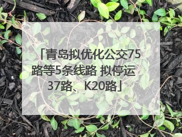 青岛拟优化公交75路等5条线路 拟停运37路、K20路